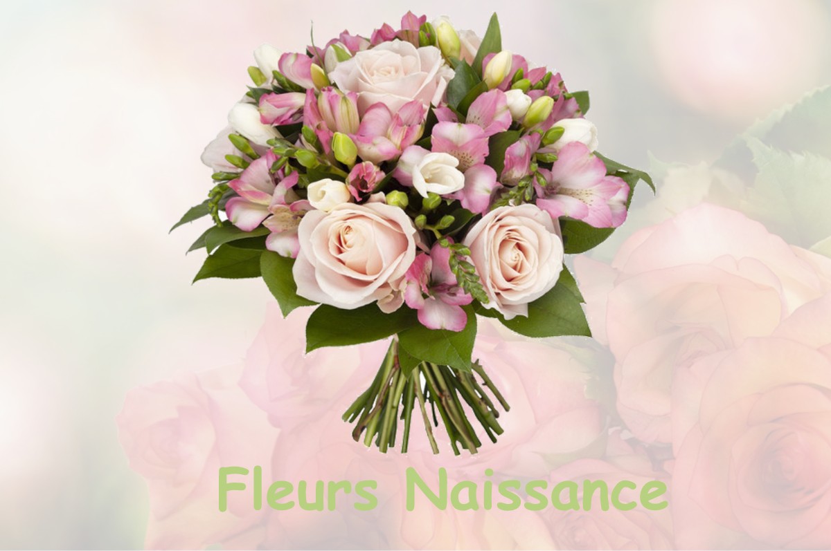 fleurs naissance SAINT-GEORGES-DU-ROSAY